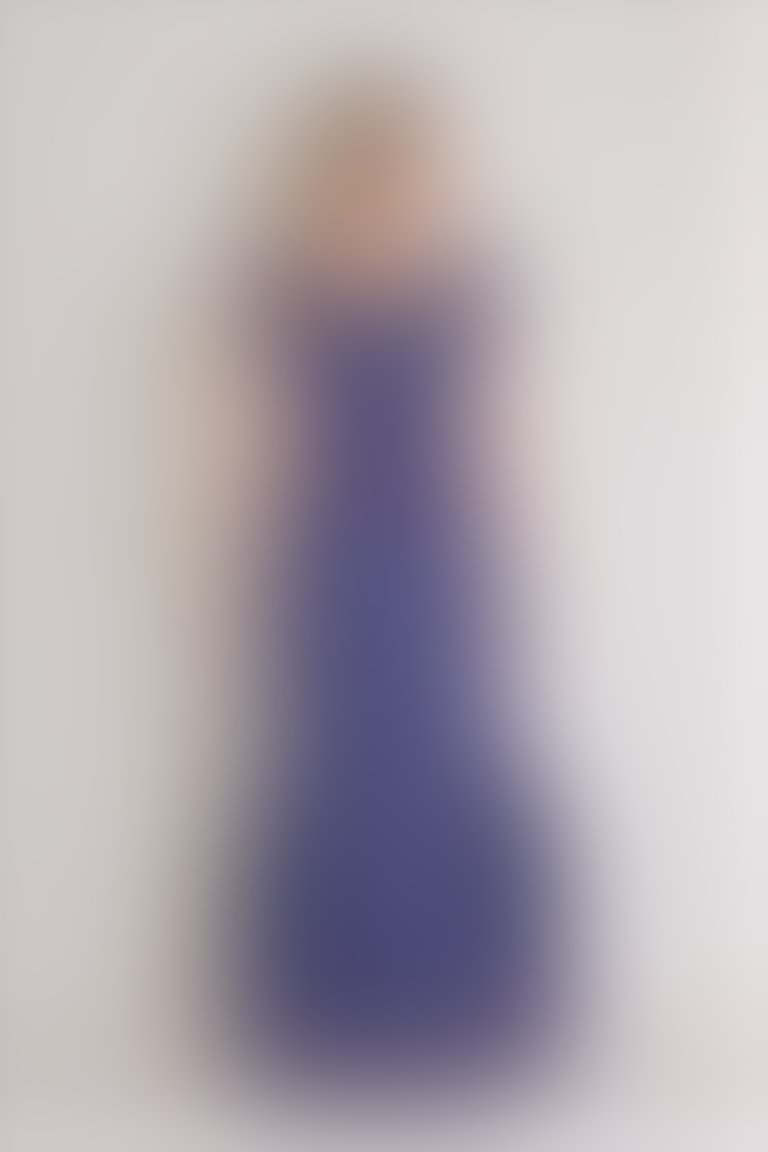 Stripe Detailed Striped Organza Blue Long Dress