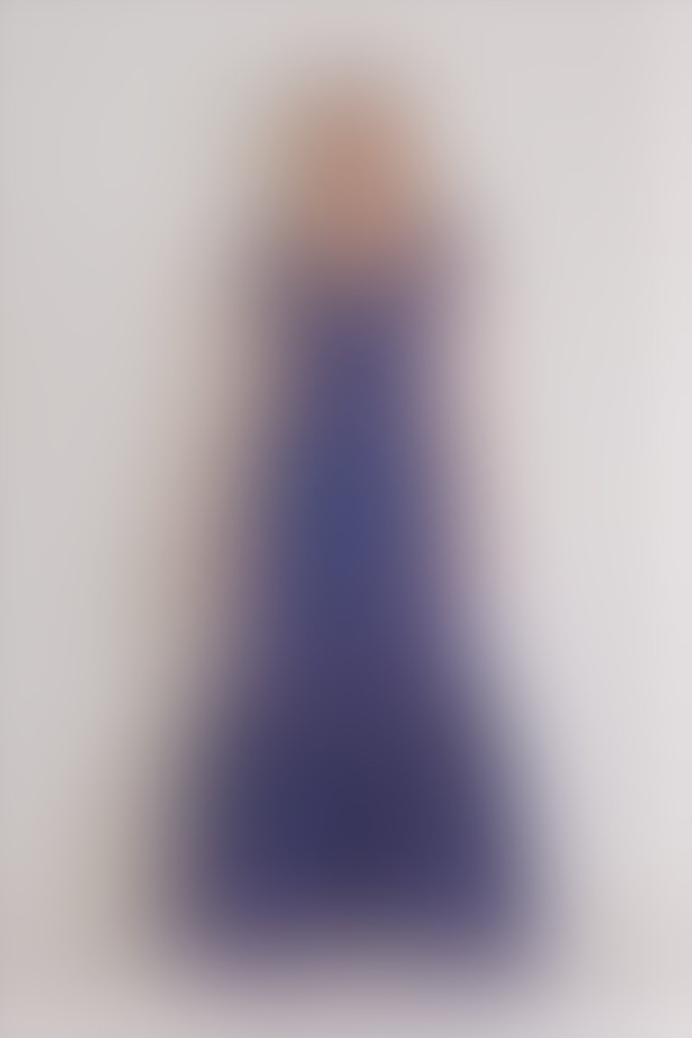 Stripe Detailed Striped Organza Blue Long Dress