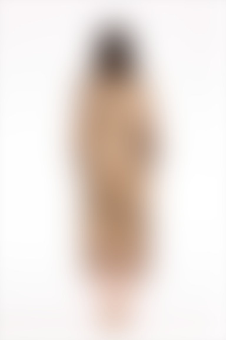 Bağlama Detaylı Leopar Baskılı Şifon Bilek Boy Kahverengi Elbise