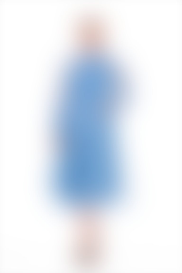 Ruffle Polka Dot Organza Midi Blue Skirt