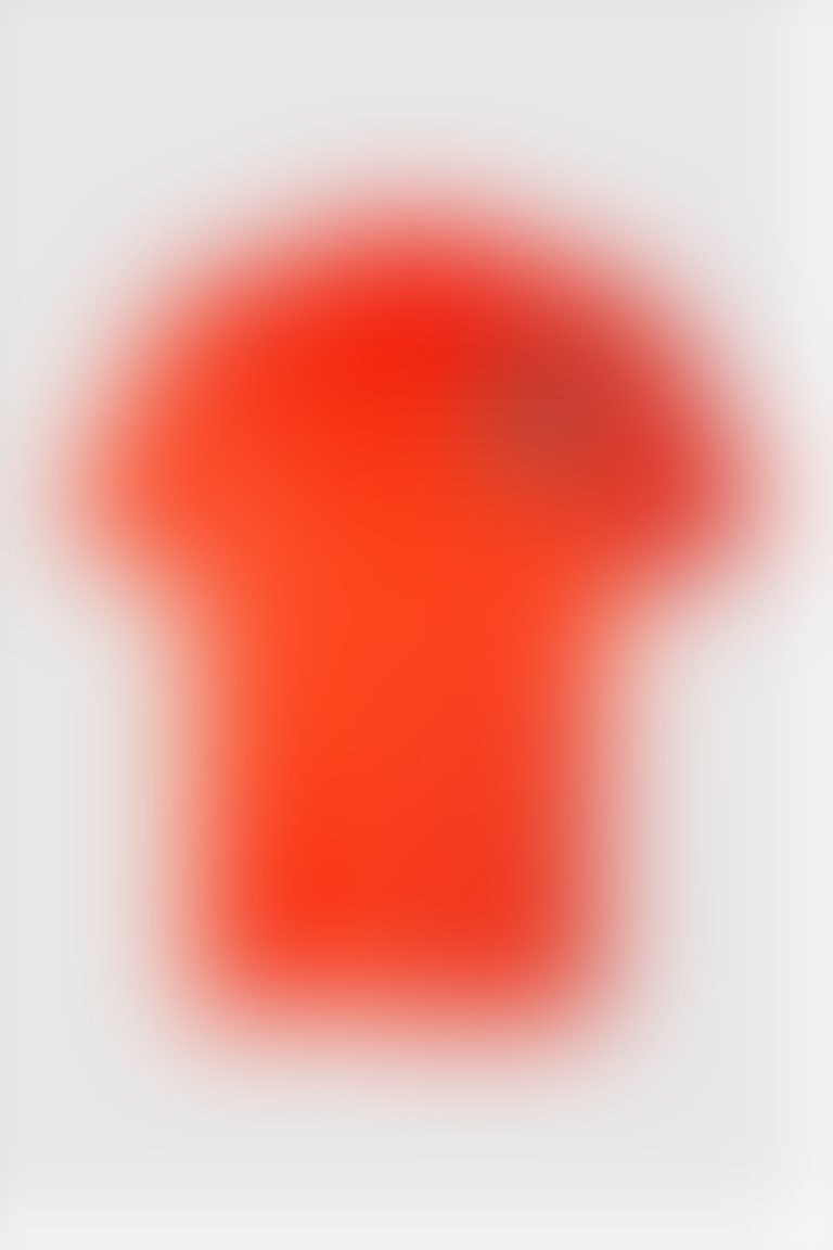 GIZIA SPORT - Nakış Detaylı Dik Yaka Oversize Turuncu T-Shirt