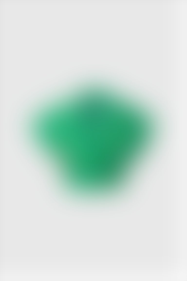 Nakış Logo Detaylı Çıtçıt Kapama Kısa Kol Yeşil Ceket