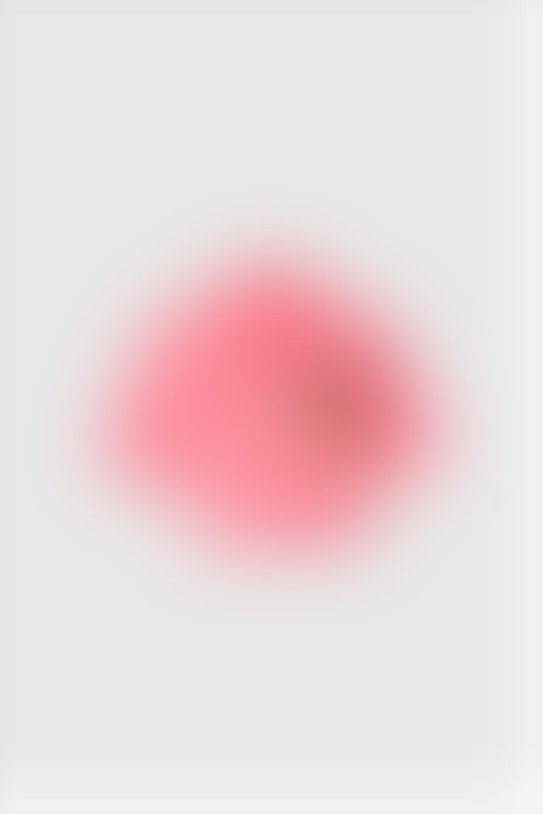 GIZIA - Nakış İşleme Detaylı Cepli Crop Kırmızı Gömlek