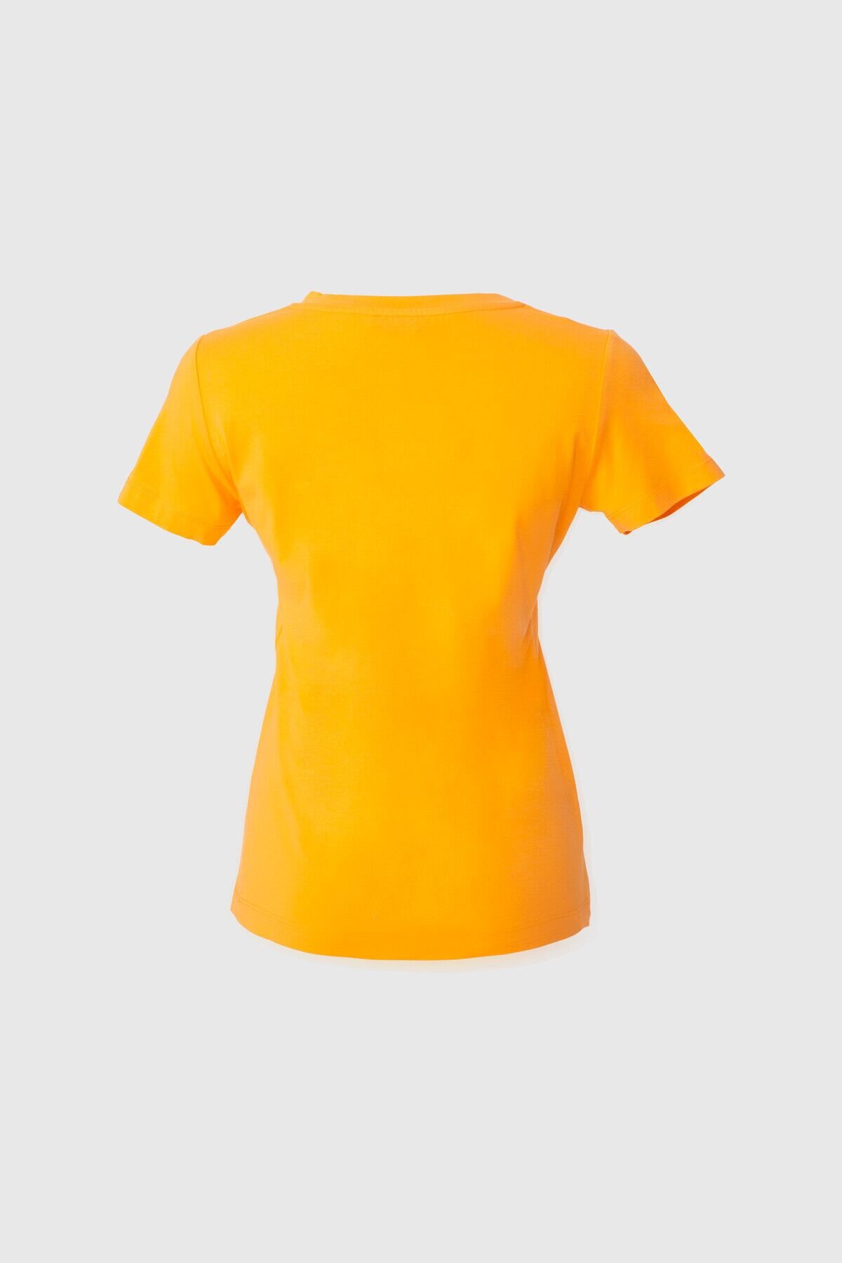 İşleme Nakış Detaylı V Yaka Basic Turuncu T-Shirt