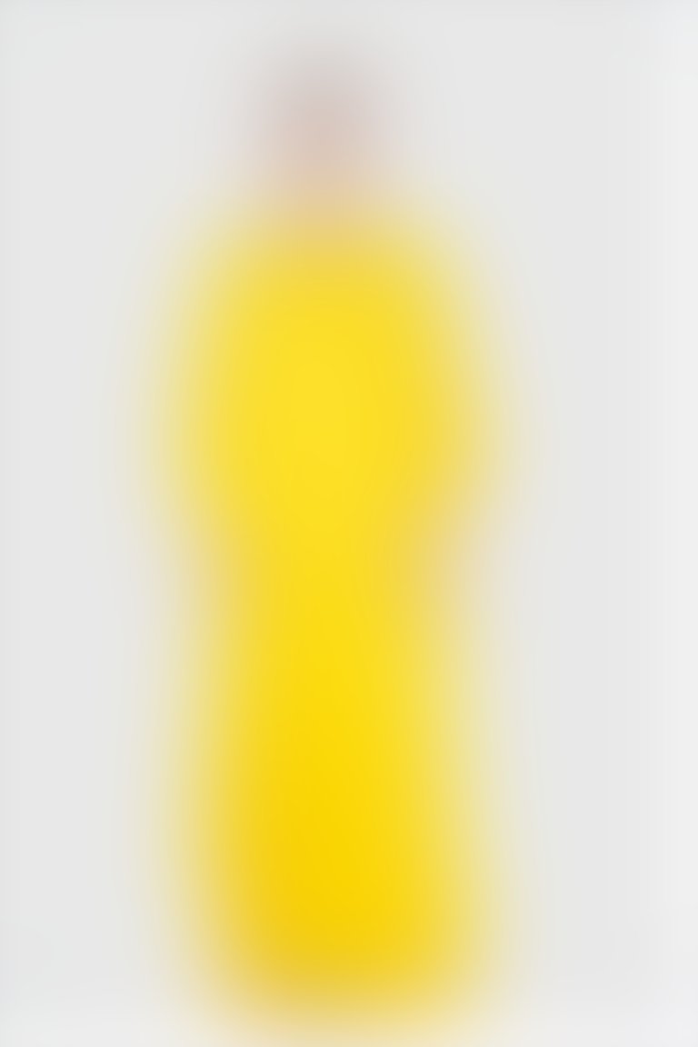 Nihan Peker V Yaka İşlemeli Sarı Geniş Kesim Uzun Abiye Elbise