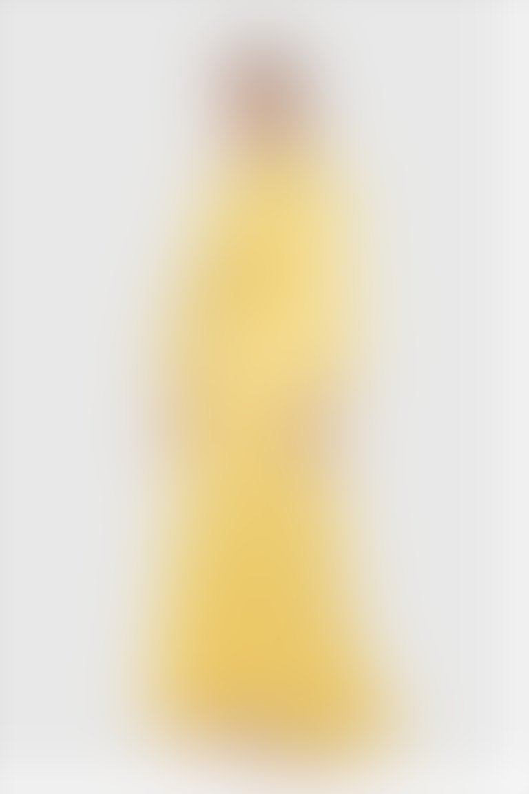 Önü Pilise Detaylı Uzun Puantiye Desenli Sarı Abiye Elbise