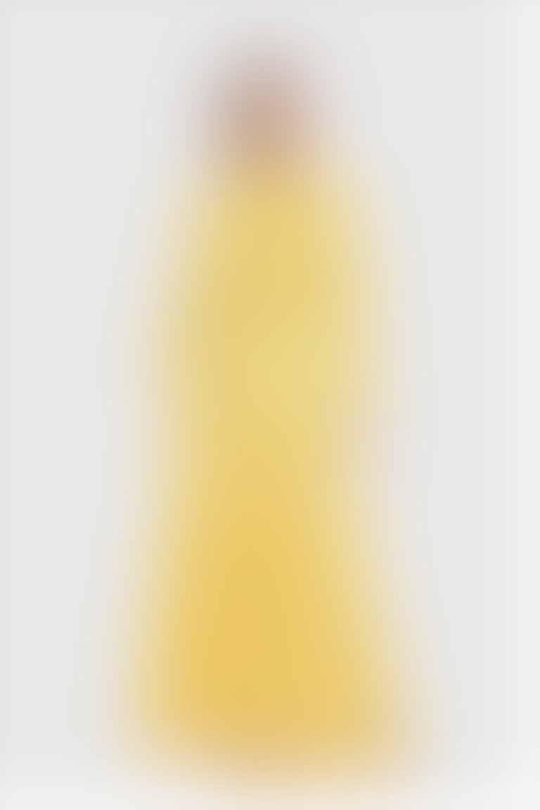 Önü Pilise Detaylı Uzun Puantiye Desenli Sarı Abiye Elbise