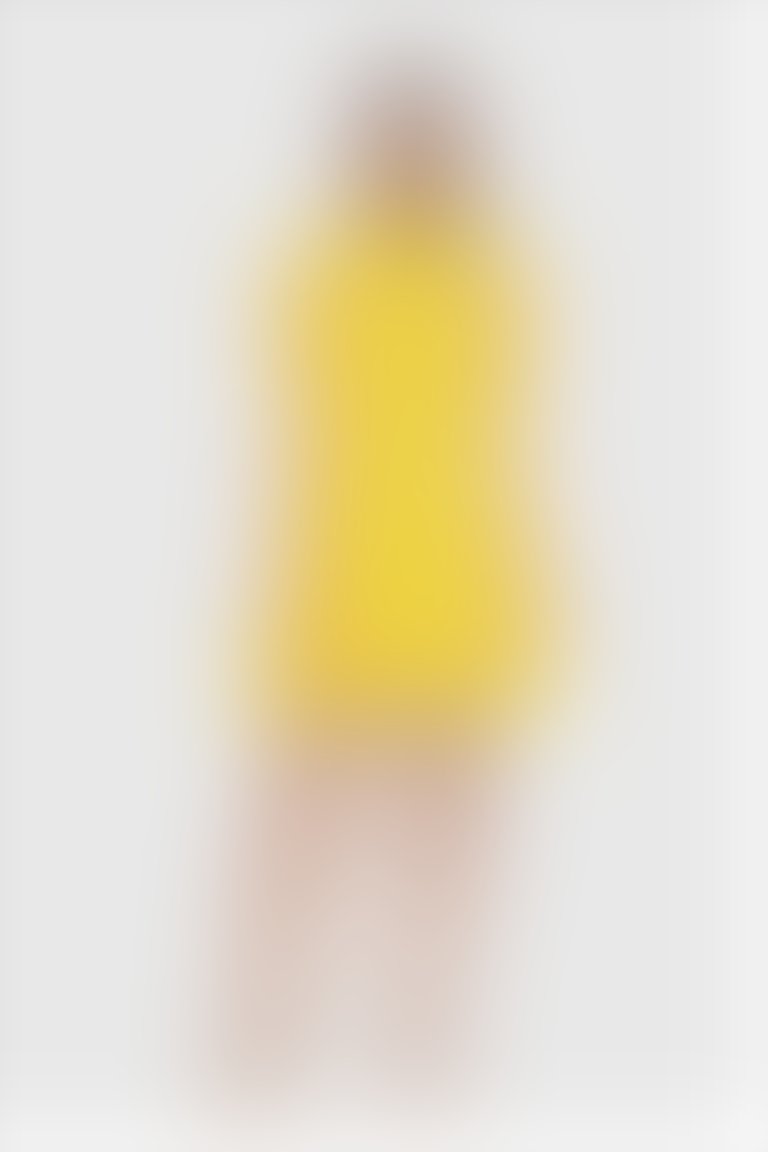 Kolları Tül Detaylı Sarı Mini Elbise