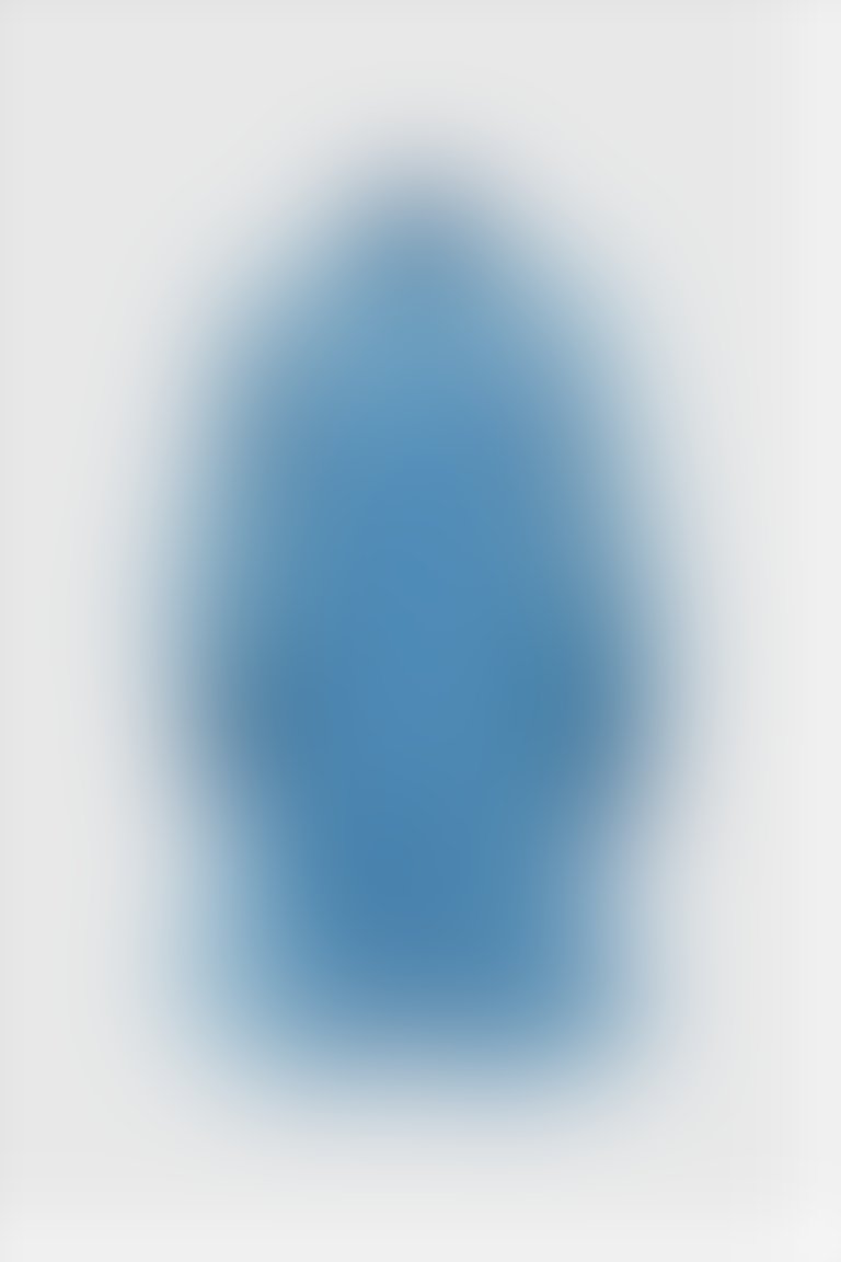 Transparent Detailed Blue Mini Dress