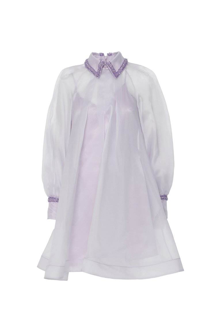 GIZIA - Transparent Detailed Purple Mini Dress
