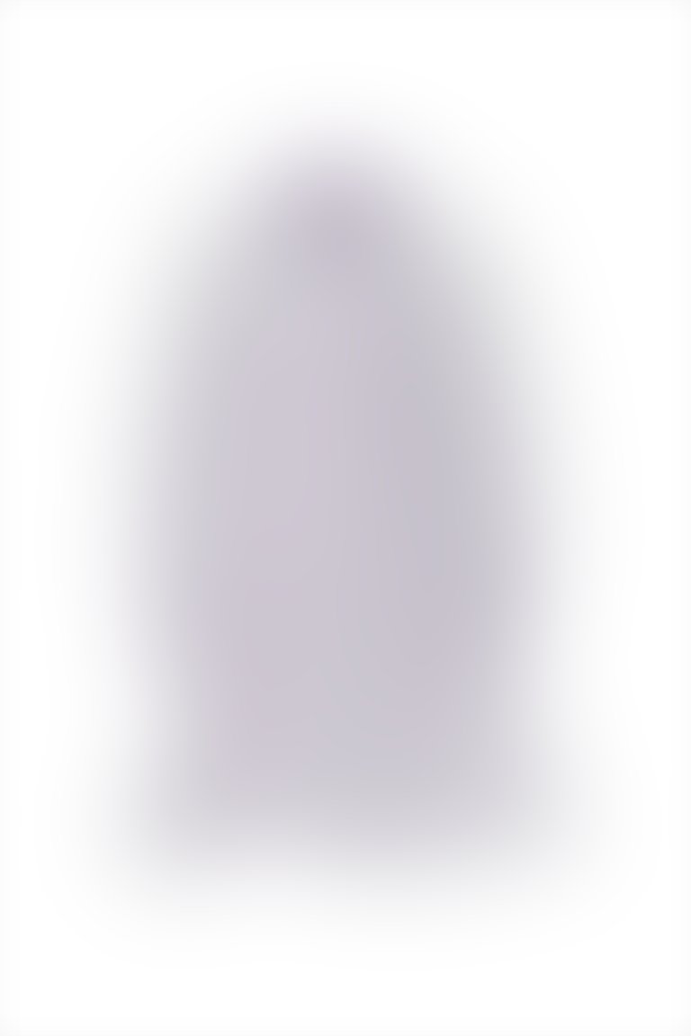 Transparent Detailed Purple Mini Dress