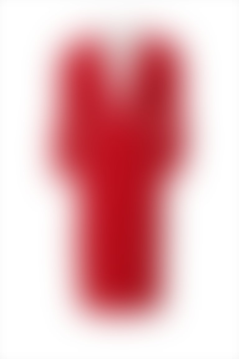 4G CLASSIC - فستان أحمر متوسط الطول مزين برقبة قميص