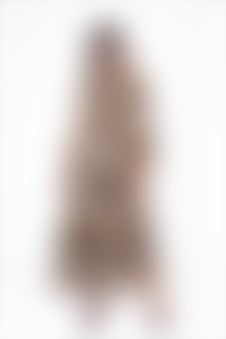 Boyun Bağlama Detaylı Leopar Desenli Uzun Şifon Elbise
