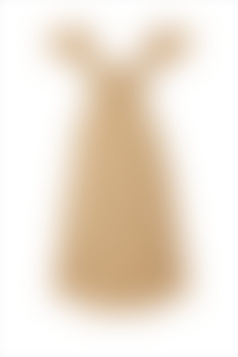 Beige Dress With Flounce Sleeves With Waist Binding Detail 