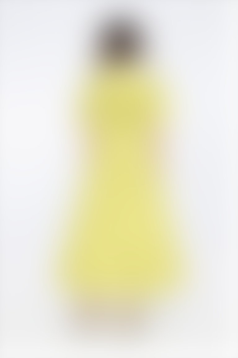 Kolda Klips Detaylı Kuşaklı Önden Fermuarlı Sarı Elbise