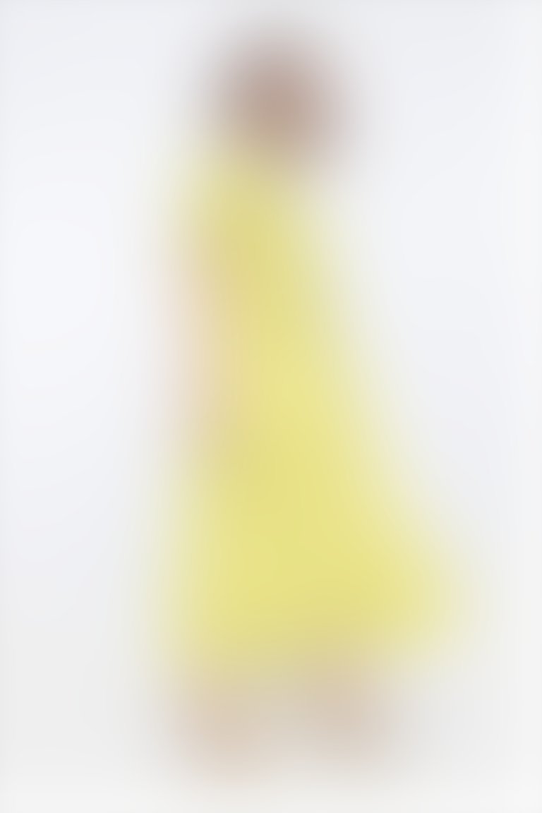 Kolda Klips Detaylı Kuşaklı Önden Fermuarlı Sarı Elbise