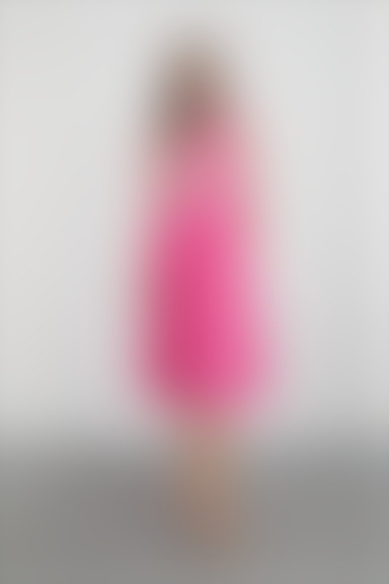 Front Body Zipper Detail Skirt Pleated Pink Dress