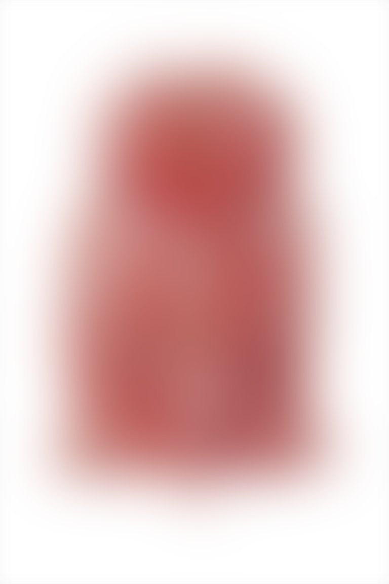 Kolda Volan Detaylı Eteği Pileli Mini Desenli Kırmızı Elbise