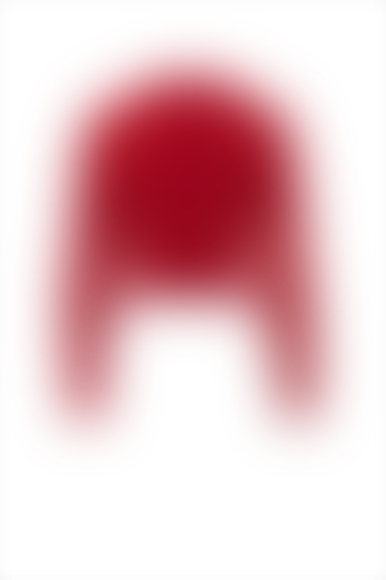 Etek Ucu Aplike Nakış Detaylı Kırmızı Kısa Bluz
