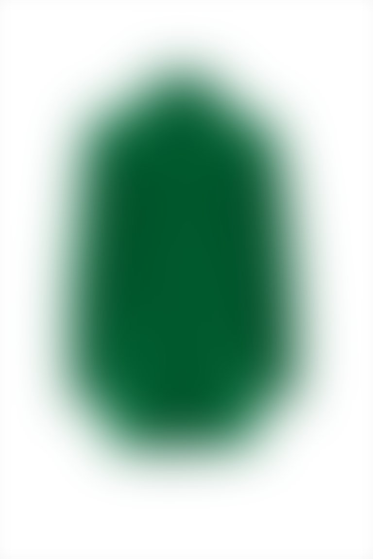 Gold Düğme Detaylı Uzun Kollu Yeşil Ceket