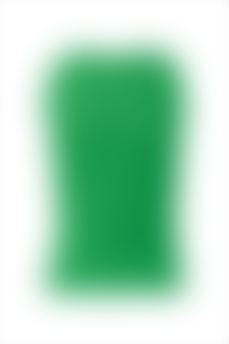 Sıfır Kollu Basıc Yeşil Bluz