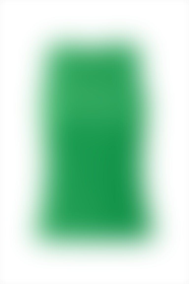 Sıfır Kollu Basıc Yeşil Bluz