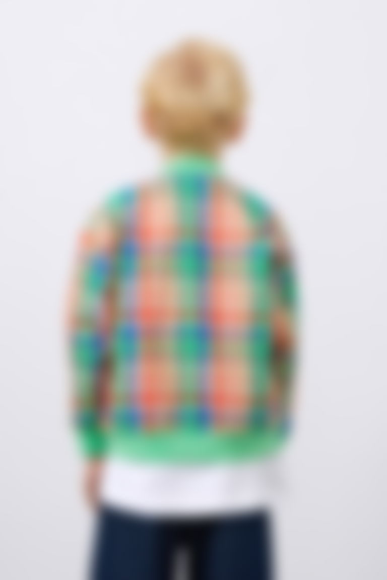 Embroidery Detailed Colored Knitwear Green Zippered Plaid Boy's Jacket