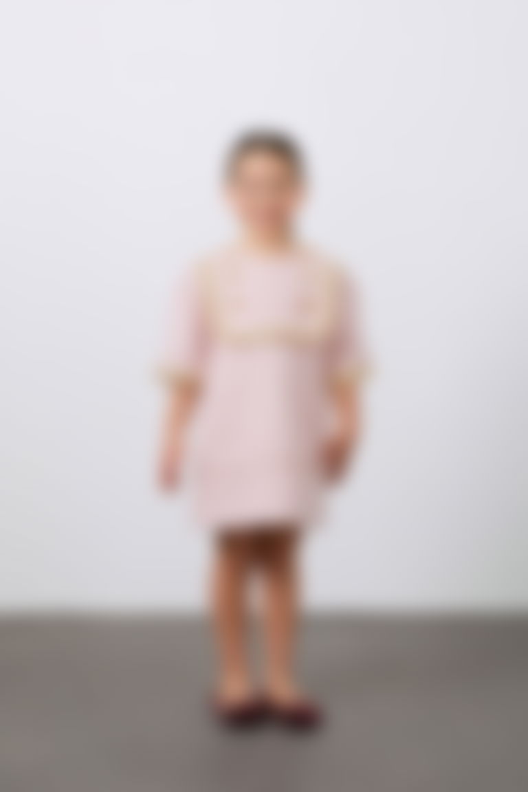 Yaka ve Düğme Detaylı Nakışlı Kız Çocuk Elbise
