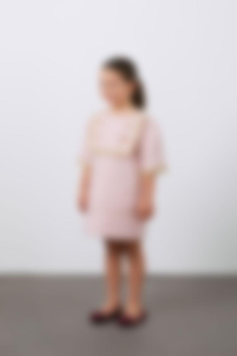 Yaka ve Düğme Detaylı Nakışlı Kız Çocuk Elbise