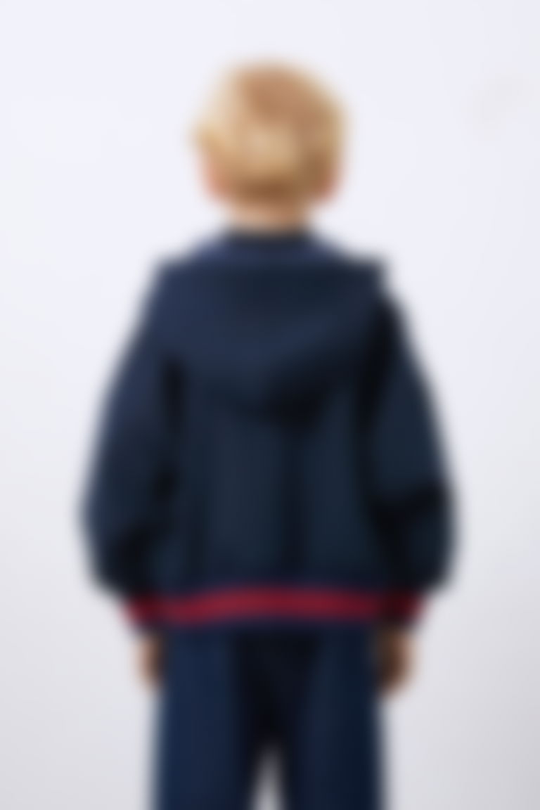 Boy's Hooded Sweatshirt with Crest Detail