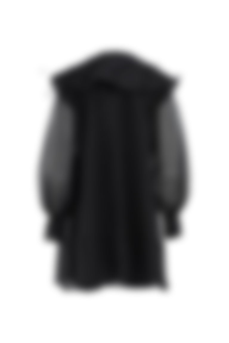 Tüy Ve Taş Detaylı Transparan Siyah Elbise